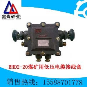 BHD2 20 127 6T礦用型低壓電纜接線盒 濟(jì)寧市鑫煤防爆電器分公司的專業(yè)解決方案